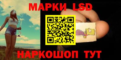 индика Заводоуковск