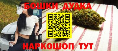 индика Заводоуковск