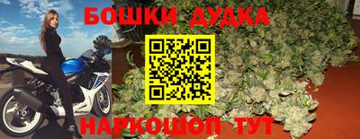 индика Заводоуковск