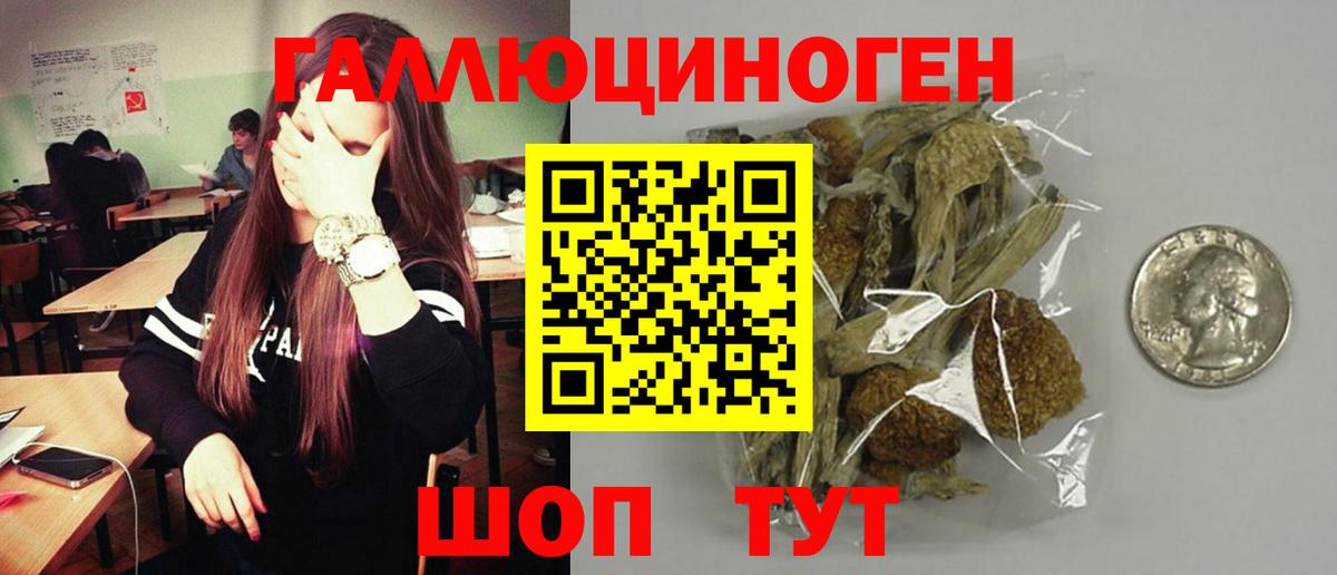 Псилоцибиновые грибы прущие грибы Луга